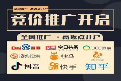 顶尖SEM竞价代运营公司案例分析